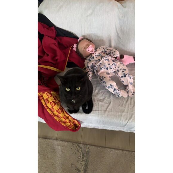 Charex Realistic Reborn Baby Doll - 22 Inch Lifelike Newborn Girl Toy With Real - Picture 7 of 15